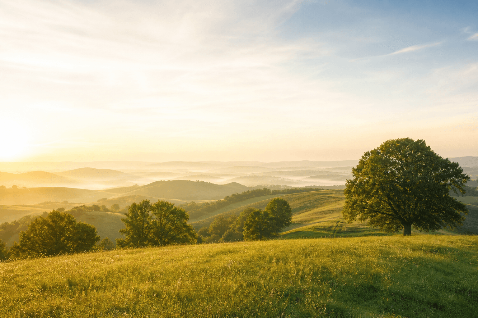 A serene landscape with rolling hills and trees in soft morning light